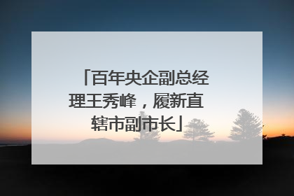 百年央企副总经理王秀峰，履新直辖市副市长