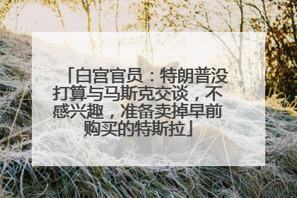 白宫官员：特朗普没打算与马斯克交谈，不感兴趣，准备卖掉早前购买的特斯拉