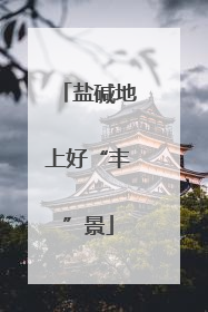 盐碱地上好“丰”景