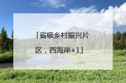 省级乡村振兴片区，西海岸+1