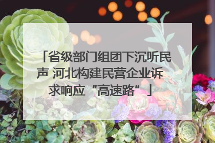省级部门组团下沉听民声 河北构建民营企业诉求响应“高速路”