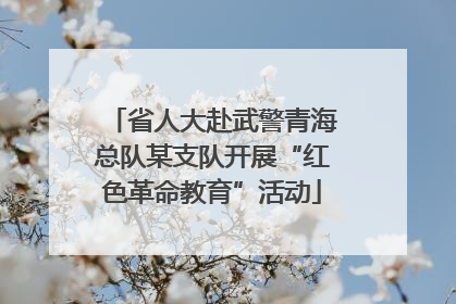省人大赴武警青海总队某支队开展“红色革命教育”活动
