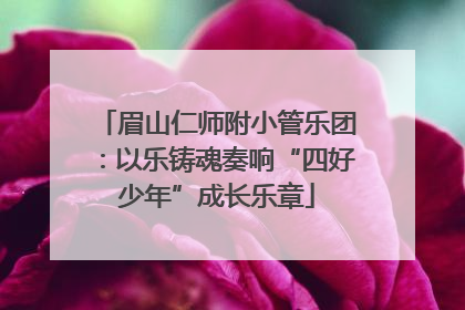 眉山仁师附小管乐团：以乐铸魂奏响“四好少年”成长乐章