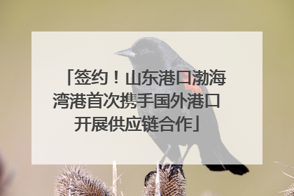 签约！山东港口渤海湾港首次携手国外港口开展供应链合作