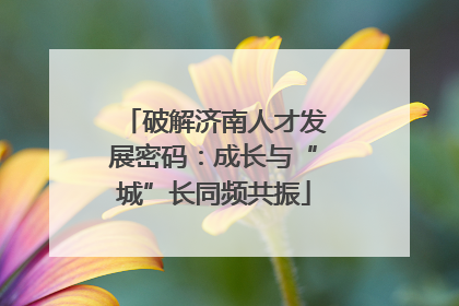 破解济南人才发展密码：成长与“城”长同频共振