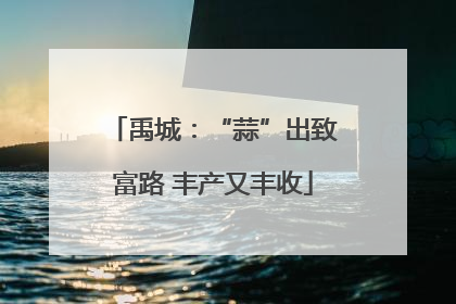 禹城：“蒜”出致富路 丰产又丰收