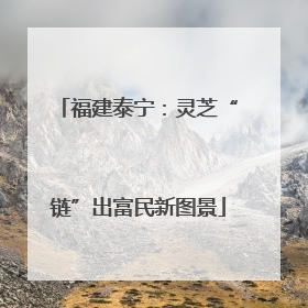 福建泰宁：灵芝“链”出富民新图景
