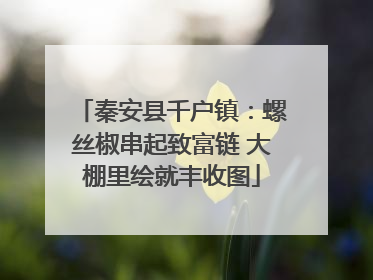 秦安县千户镇：螺丝椒串起致富链 大棚里绘就丰收图