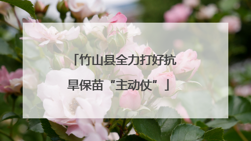 竹山县全力打好抗旱保苗“主动仗”