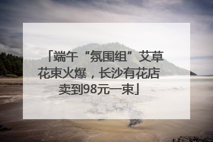 端午“氛围组”艾草花束火爆，长沙有花店卖到98元一束