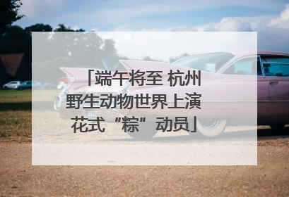 端午将至 杭州野生动物世界上演花式“粽”动员