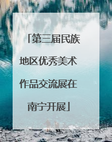 第三届民族地区优秀美术作品交流展在南宁开展