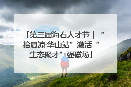 第三届海右人才节｜“拾夏凉·华山站”激活“生态聚才”强磁场