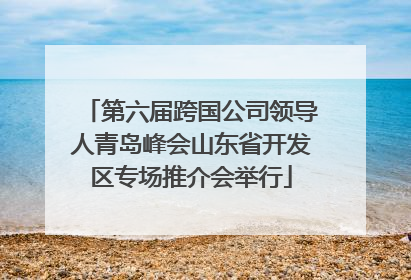 第六届跨国公司领导人青岛峰会山东省开发区专场推介会举行