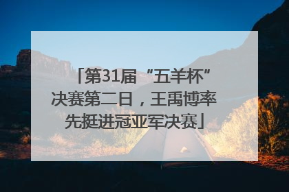第31届“五羊杯”决赛第二日，王禹博率先挺进冠亚军决赛