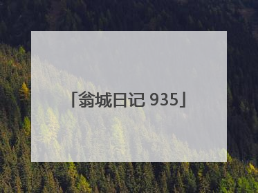 翁城日记 935