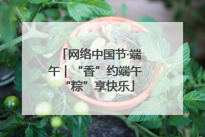 网络中国节·端午｜“香”约端午 “粽”享快乐