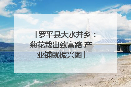 罗平县大水井乡：菊花栽出致富路 产业铺就振兴图