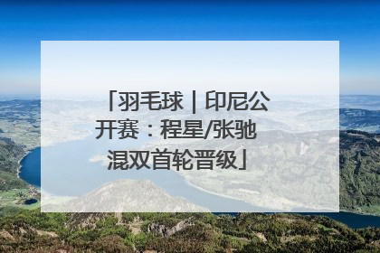 羽毛球｜印尼公开赛：程星/张驰混双首轮晋级