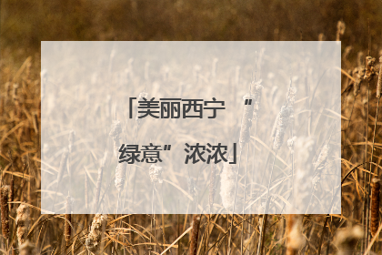 美丽西宁 “绿意”浓浓
