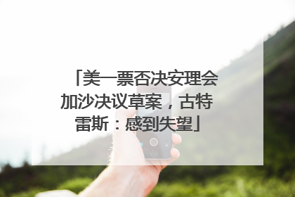 美一票否决安理会加沙决议草案，古特雷斯：感到失望