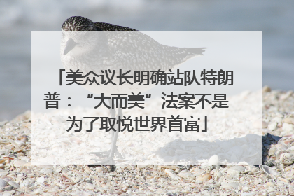 美众议长明确站队特朗普:“大而美”法案不是为了取悦世界首富