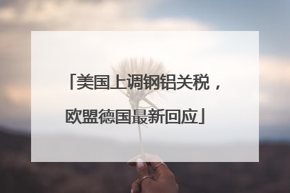 美国上调钢铝关税，欧盟德国最新回应