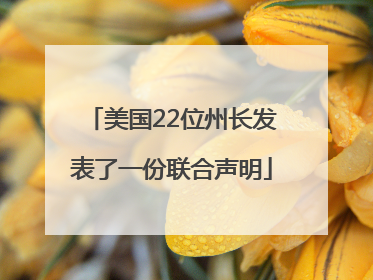 美国22位州长发表了一份联合声明