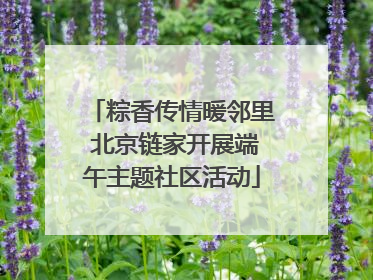 粽香传情暖邻里 北京链家开展端午主题社区活动