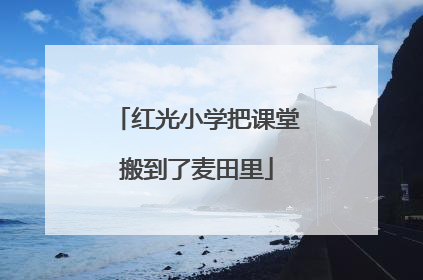 红光小学把课堂搬到了麦田里