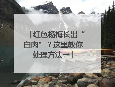 红色杨梅长出“白肉”？这里教你处理方法→