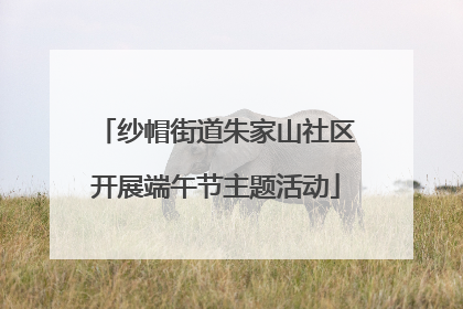 纱帽街道朱家山社区开展端午节主题活动