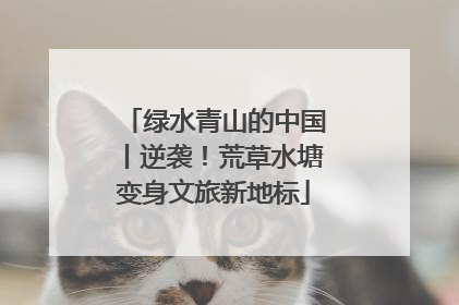 绿水青山的中国丨逆袭！荒草水塘变身文旅新地标