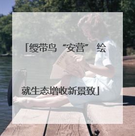 绶带鸟“安营” 绘就生态增收新景致