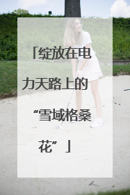 绽放在电力天路上的“雪域格桑花”
