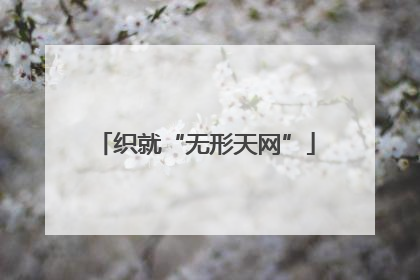 织就“无形天网”