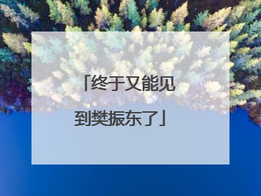 终于又能见到樊振东了
