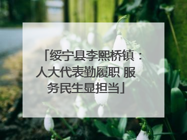 绥宁县李熙桥镇：人大代表勤履职 服务民生显担当