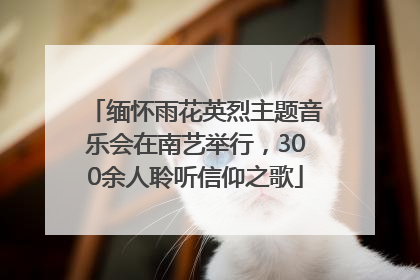 缅怀雨花英烈主题音乐会在南艺举行，300余人聆听信仰之歌
