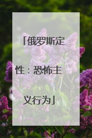 俄罗斯定性：恐怖主义行为