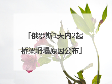 俄罗斯1天内2起桥梁坍塌原因公布