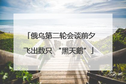俄乌第二轮会谈前夕 飞出数只 “黑天鹅”