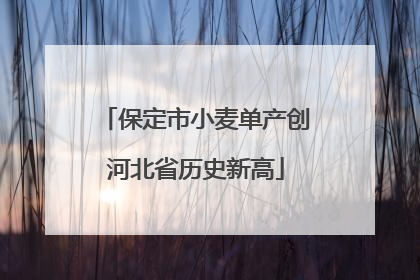 保定市小麦单产创河北省历史新高