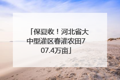 保夏收！河北省大中型灌区春灌农田707.4万亩