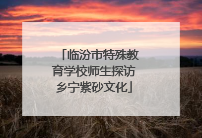 临汾市特殊教育学校师生探访乡宁紫砂文化
