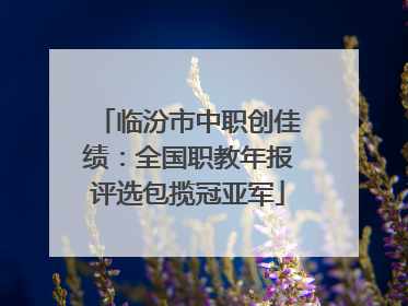 临汾市中职创佳绩：全国职教年报评选包揽冠亚军