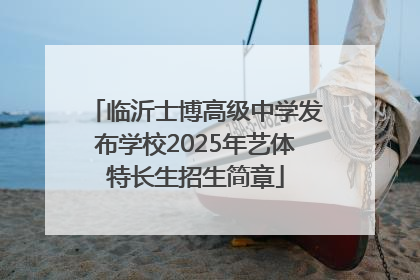 临沂士博高级中学发布学校2025年艺体特长生招生简章