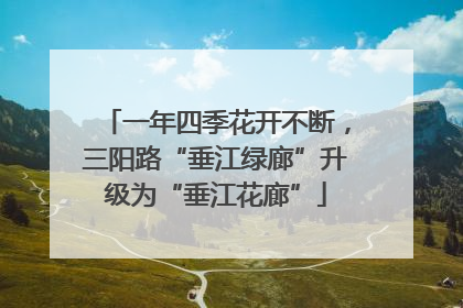 一年四季花开不断，三阳路“垂江绿廊”升级为“垂江花廊”