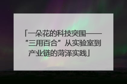 一朵花的科技突围——“三用百合”从实验室到产业链的菏泽实践