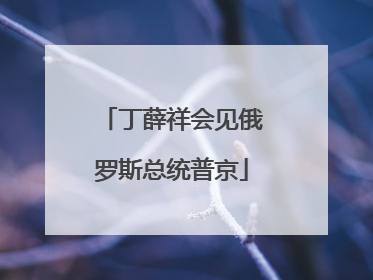 丁薛祥会见俄罗斯总统普京